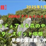 2023年 【宮古島・沖縄島旅】「6日目」スピリチュアルな森の中のパワースポット体験✌️ #沖縄県 #国頭村 #ASMUI #大石林山 #パワースポット