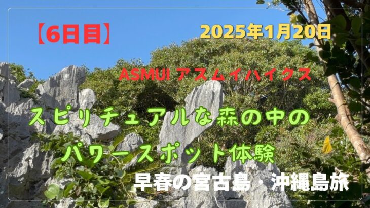 2023年 【宮古島・沖縄島旅】「6日目」スピリチュアルな森の中のパワースポット体験✌️ #沖縄県 #国頭村 #ASMUI #大石林山 #パワースポット