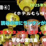 2023年 【宮古島・沖縄島旅】「7日目⓸」今宵、読谷の地にランタン灯る🏮琉球ランタンフェスティバル #沖縄県 #読谷村 #むら咲むら #ランタンフェスティバル