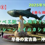 2023年 【宮古島・沖縄島旅】「7日目⓶」ジンベエ鮫と南洋マンタ餌やりシーンにイルカショー🦈🐬 #沖縄県 #本部町 #美ら海水族館