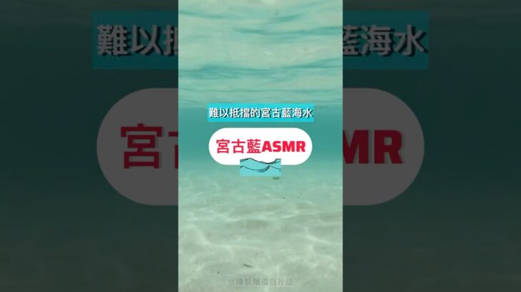 2023年 宮古藍ASMR｜難以抵擋的宮古藍海水