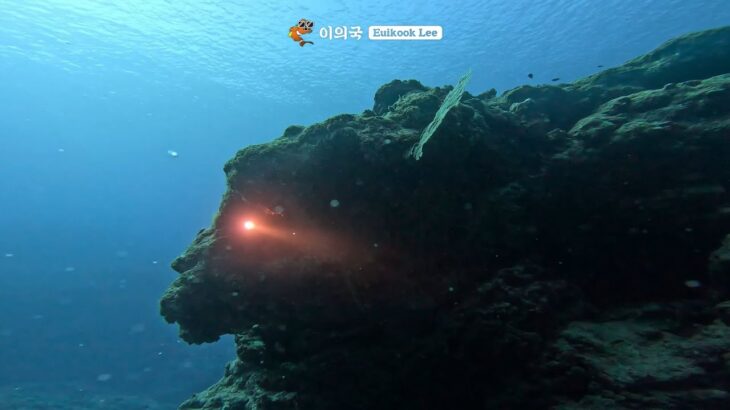 2023年 일본 오키나와 미야코지마 – 동굴 다이빙 / Japanese ohkinawa miyakojima cave diving