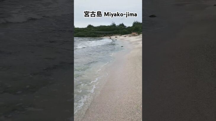 2023年  Miyako-jima 宮古島