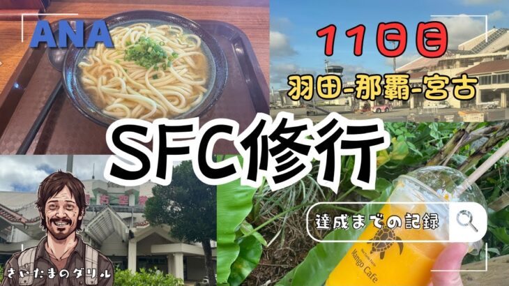 2023年 [SFC修行11日目]バリュートランジットであこがれの宮古島へ/これからANAのSFC修行を考えている方に見て欲しい