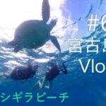 2023年 〜Vlog〜🌺宮古島シギラビーチでウミガメ遭遇！沖縄6日目🐢