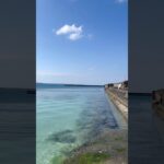 2023年 【宮古島】パイナガマビーチで見つけた謎のお魚 #miyakoisland #宮古島