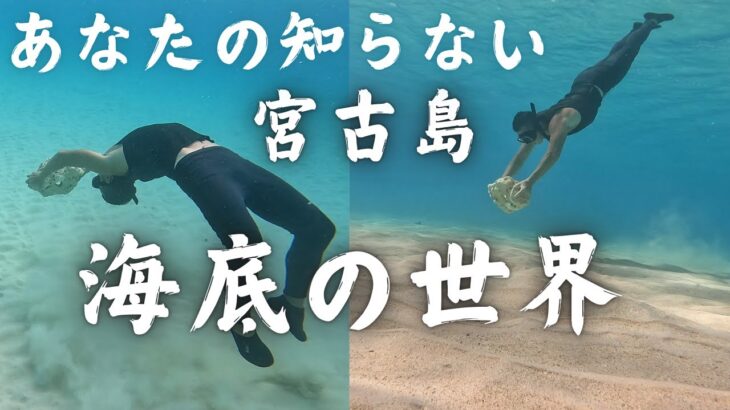 2023年 【宮古島 新春】東洋一美しい前浜ビーチの海底の過ごし方