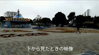 【茨城・ひたち海浜公園】ネモフィラ、コキアだけじゃない！観覧車から見ると干支の蛇に変わる不思議なアート　＃観光　＃ひたちなか　＃旅行　＃遊園地