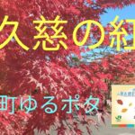 【茨城県大子町】駅からサイクリングを利用し紅葉満喫してきた#紅葉