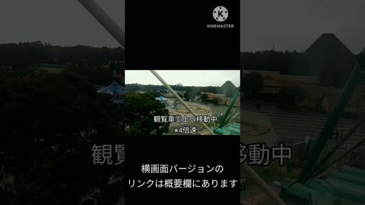 【茨城・ひたち海浜公園】ネモフィラ、コキアだけじゃない！観覧車から見ると干支の蛇に変わる不思議なアート(忙しい人向けバージョン)　＃観光　＃ひたちなか　＃旅行　＃遊園地　＃おすすめ