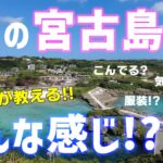 2023年 【宮古島観光】夏日は泳げる！？２月の宮古島はどんな感じか地元民が解説