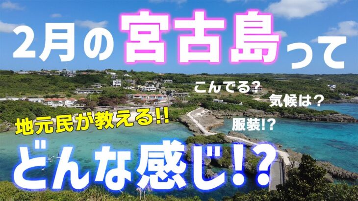 2023年 【宮古島観光】夏日は泳げる！？２月の宮古島はどんな感じか地元民が解説