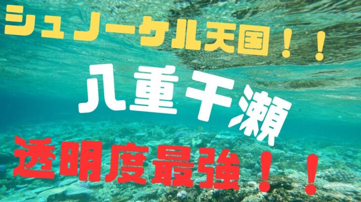 2023年 【沖縄】【宮古島】八重干瀬シュノーケル