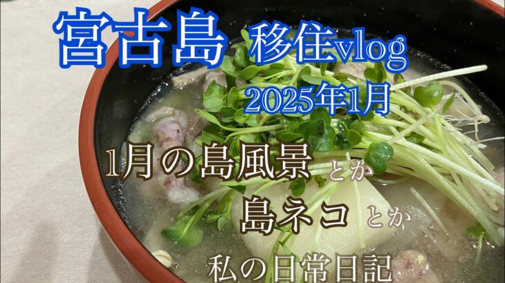 2023年 【移住vlog】2025年1月。宮古島移住生活🏝️1ヶ月のまとめ日記。