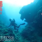 2023年 【ダイビング動画】2024 11 沖縄 宮古島 FUNDIVING