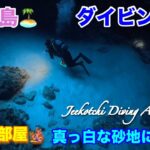 2023年 宮古島🏝ダイビング🤿女王の部屋🪸真っ白な砂地に青い光😆👍2024年12月