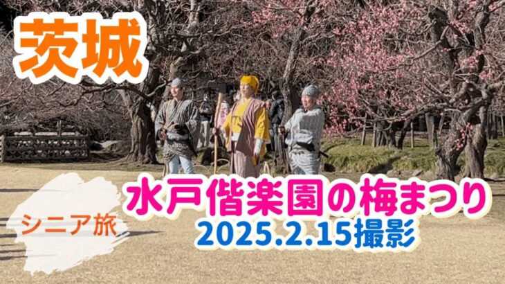 【偕楽園】水戸偕楽園の梅まつり（2025.2.15撮影)