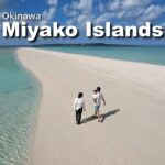 2023年 【3 days in Miyako Islands Okinawa】冬の宮古島へ行く| Family Travel Vlog