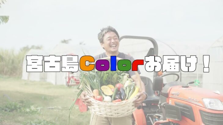 2023年 宮古島Colorお届け！～宮古島の特産品紹介～