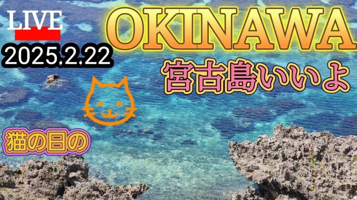 2023年 宮古島LIVE 今日猫の日?#宮古島散歩#沖縄散歩#沖縄ライブ配信#南の島 20252.22