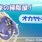 2023年 【オカヤドカリ】みやち&うみかの宮古島生物紹介！ Part2