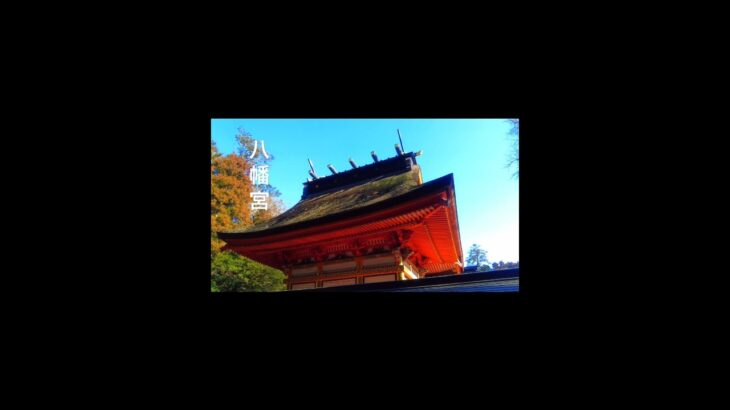 【神社巡り】早春の参拝 水戸八幡宮 #茨城県観光 #旅行