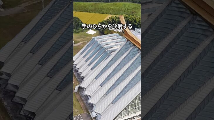 新興宗教の超巨大神殿が凄すぎた！茨城県つくば市・陽光子友乃会「手のひらをかざすと不幸を浄化できる」