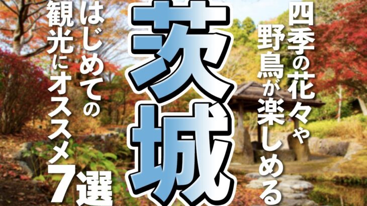 【茨城観光】はじめて訪れる茨城で行かないと後悔する観光スポット７選