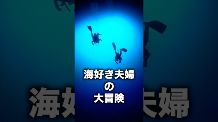 2023年 海好き夫婦の大冒険　 #宮古島