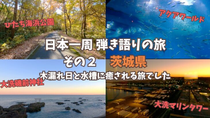 【日本一周その２】茨城県の大洗町周辺で木漏れ日と水槽に癒される観光ができました