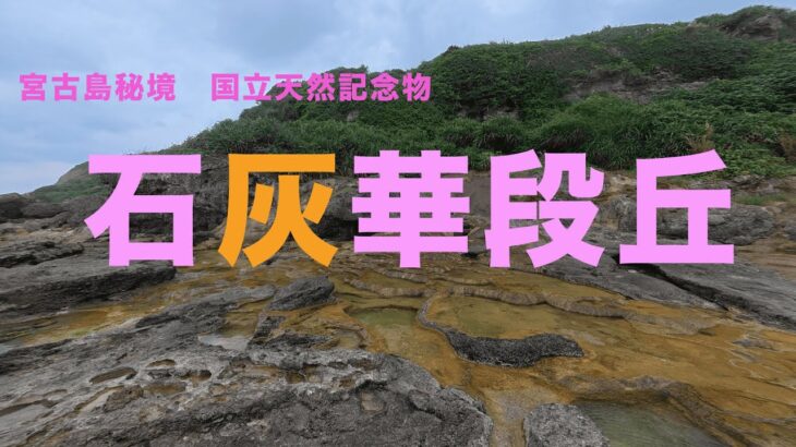 2023年 国立天然記念物｜宮古島 石灰華段丘