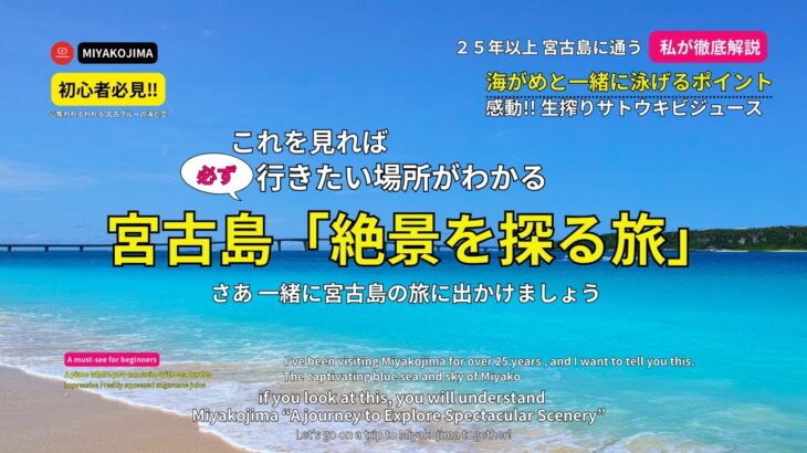 2023年 徹底解説　宮古島 ウミガメと泳ぐポイント