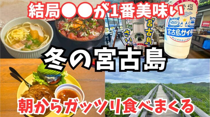 2023年 【宮古島観光】雨なので宮古島グルメ爆食いします！冬の宮古島旅行vlog