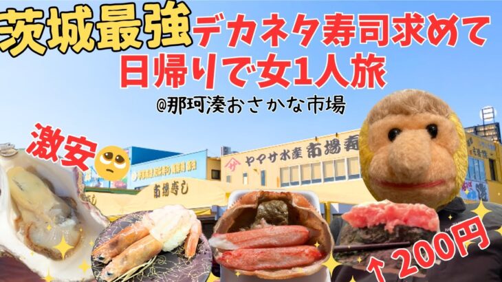 え？これも200円？！マストで行きたい茨城日帰りスポット！｜那珂湊おさかな市場｜大洗｜めんたいパーク