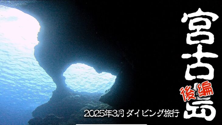 2023年 2025年3月 宮古島ダイビング旅行【後編】〜目の前にGT〜