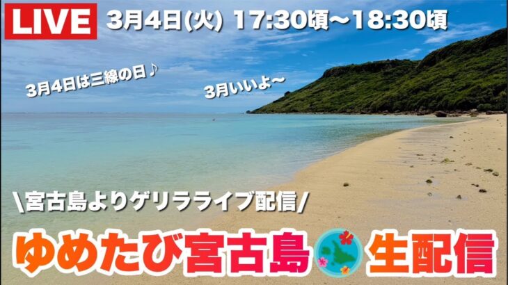 2023年 宮古島よりゲリラ生配信！3月4日は三線の日らしいですよ♪2025.3.4