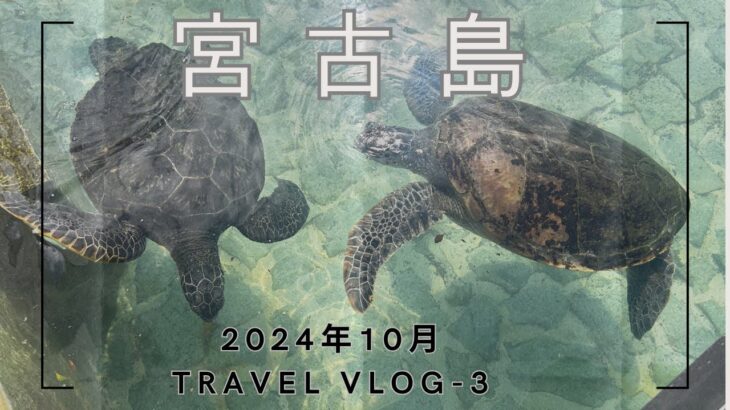 2023年 [沖縄/ 宮古島]3泊4日旅の3日目は本当に何もしてない！グラスボートに乗って魚見てご飯食べて海で寝たよ！！！！