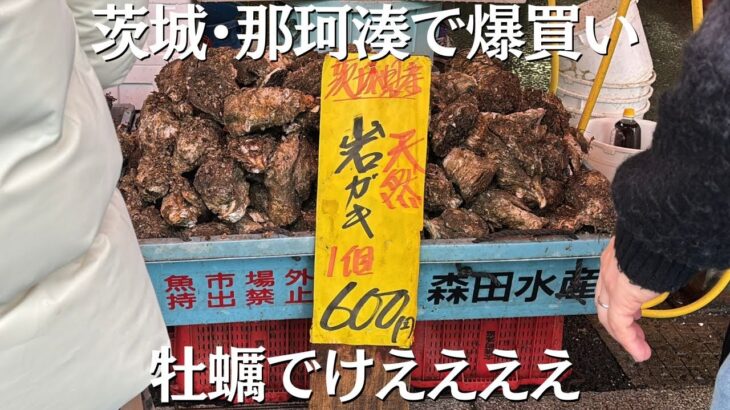 おちゃんぽ🚶新鮮な海の幸の宝庫！茨城県の那珂湊おさかな市場をお散歩🐟🦀