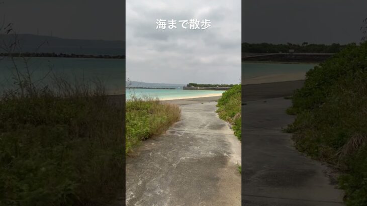 2023年 海まで散歩　風が吹いて寒い　宮古島　#旅 #沖縄 #宮古島#おひとりさまライフゆるく女性社長再開