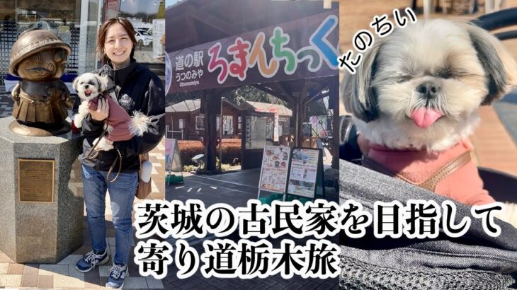 【愛犬と行く！】茨城の古民家を目指して＼寄り道栃木旅／