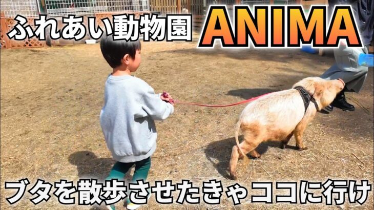 珍しい動物とたくさん触れ合える！茨城にある穴場の動物園♪