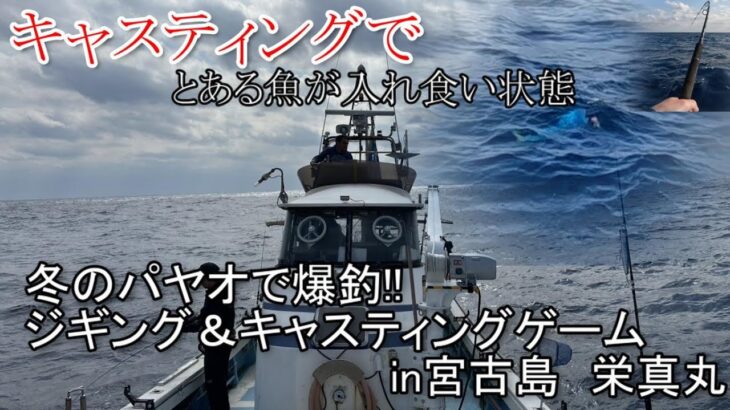 2023年 宮古島栄真丸冬のパヤオ　ジギング＆キャスティングゲーム