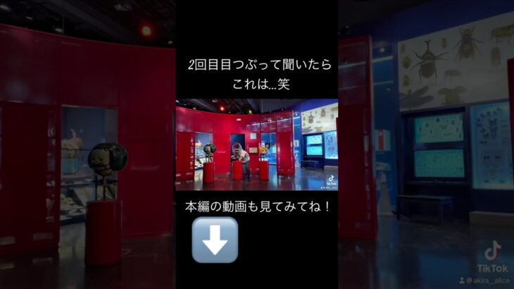 ミュージアムパーク茨城県自然博物館🦖#ミュージアムパーク茨城県自然博物館#茨城県#観光スポット#旅人#旅#旅行#日本一周#車で日本一周#オレは自由な鳥