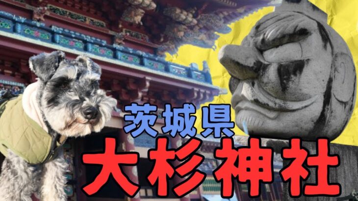 【茨城県稲敷市】犬と大杉神社で参拝/夫婦と犬の日帰り旅