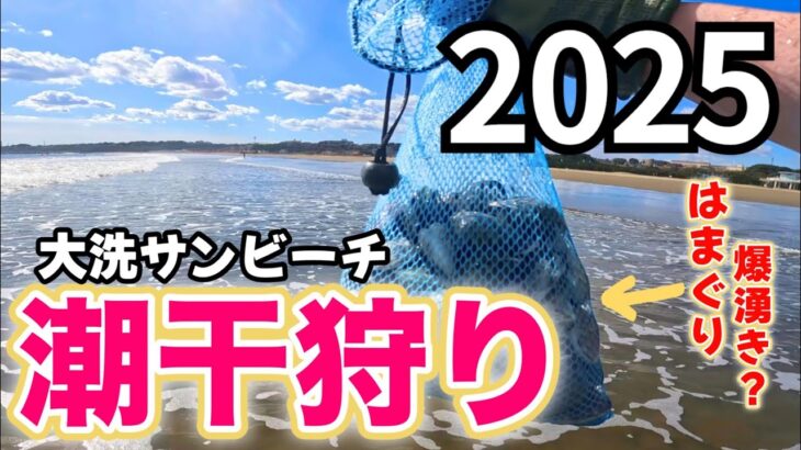 無料で楽しめる茨城の人気潮干狩りスポット 大洗サンビーチ はまぐりがざっくざく！大漁！