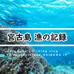 2023年 【沖縄・宮古島の海2025】漁の記録3月 暗いよ寒いよ荒れてるよ～でもティラジャーに夢中！fishing VLOG