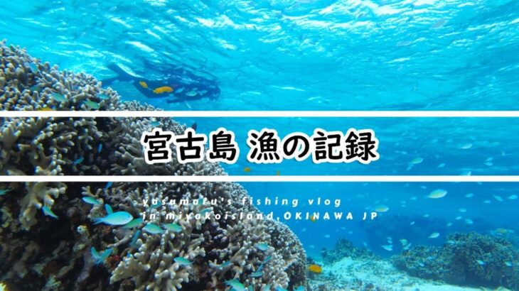 2023年 【沖縄・宮古島の海2025】漁の記録3月 暗いよ寒いよ荒れてるよ～でもティラジャーに夢中！fishing VLOG