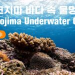 2023年 [EDSR_ASMR_1hr] 미야코지마 바다 속 물멍_Miyakojima Underwater Gaze_宮古島_伊良部島_ダイビング