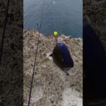 2023年 #fishing #宮古島