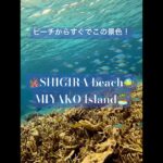 2023年 魅力いっぱい！宮古島★シギラビーチ★初心者も安心♪ビーチから数分で珊瑚＆熱帯魚！ #宮古島 #underwater  #gopro #miyakojima #snorkeling #coralreef